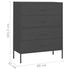 Lady Jillian -  Chest of Drawers Anthracite 80x35x101,5 cm Steel